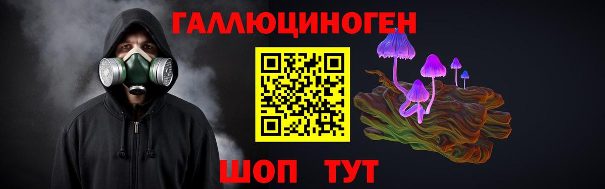 Псилоцибиновые грибы прущие грибы Анжеро-Судженск